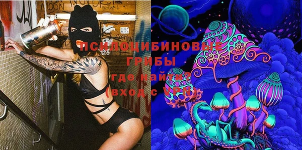 ешки Куйбышев