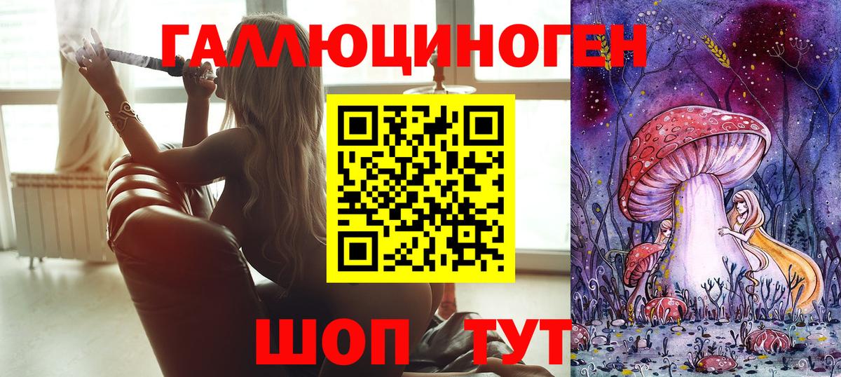 Галлюциногенные грибы GOLDEN TEACHER  Вход с VPN  закладка  Псилоцибиновые грибы Psilocybine cubensis  Новоалтайск 