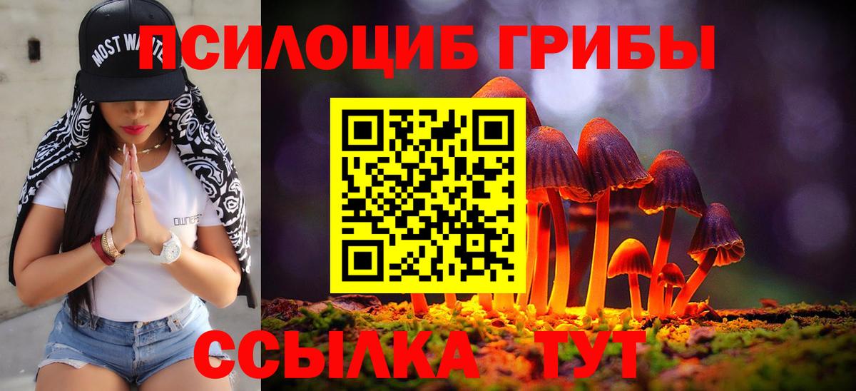 Галлюциногенные грибы GOLDEN TEACHER  Новоалтайск 
