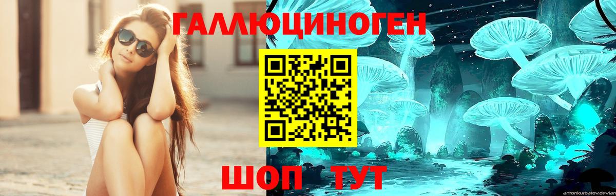 Псилоцибиновые грибы MAGIC MUSHROOMS Новоалтайск