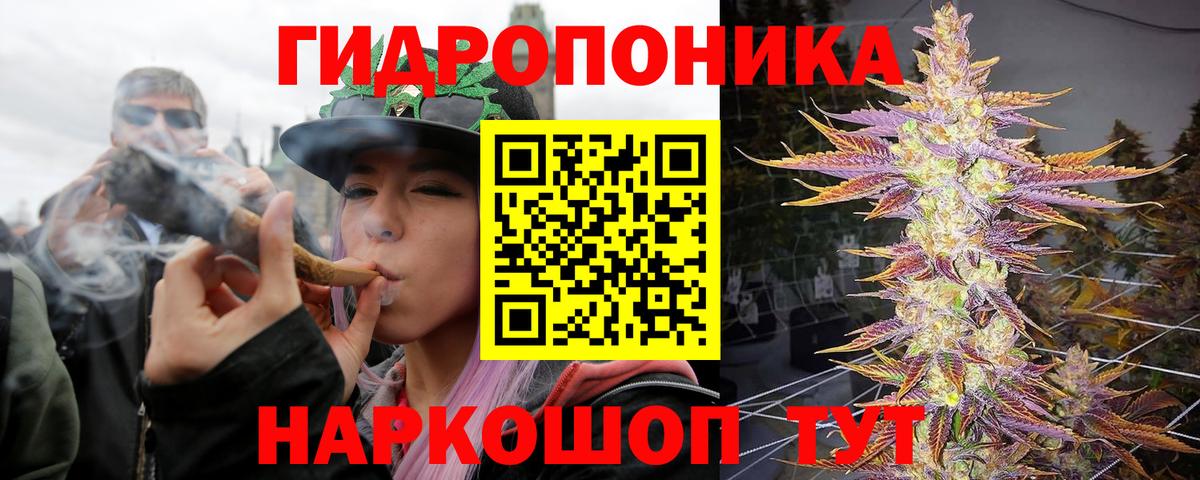 Альфа ПВП Новоалтайск